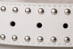 Timeless Edge Belt
